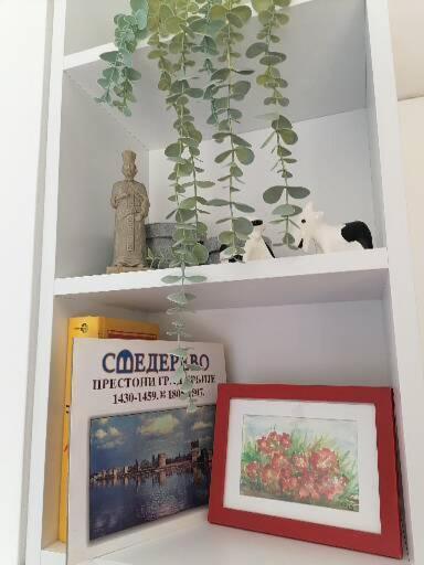 Anka Apartman Smederevo Zewnętrze zdjęcie
