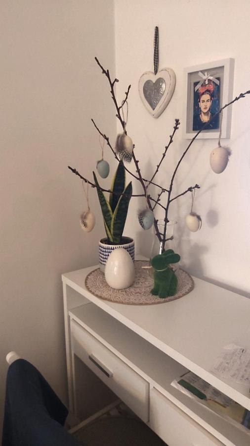 Anka Apartman Smederevo Zewnętrze zdjęcie